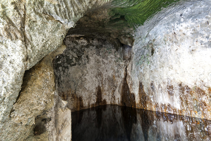 Sorgente di Cavascura